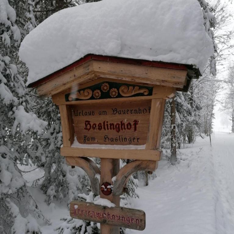 Haslinghof - Apartment - 16