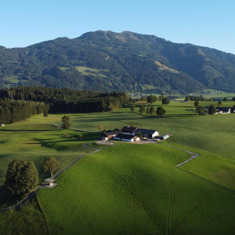 Haslinghof - Apartment - 7