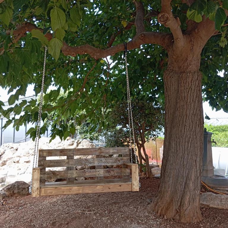 La Mery Giò House - Fasano - Casa con 3 Camere da Letto - 33