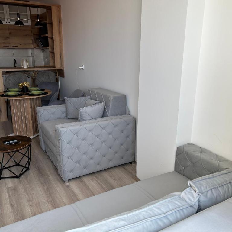 De Lux Nedeljkovic President - Apartman sa 1 Spavaćom Sobom - 43