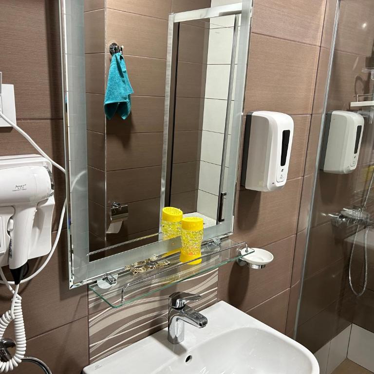 De Lux Nedeljkovic President - Apartman sa 1 Spavaćom Sobom - 51
