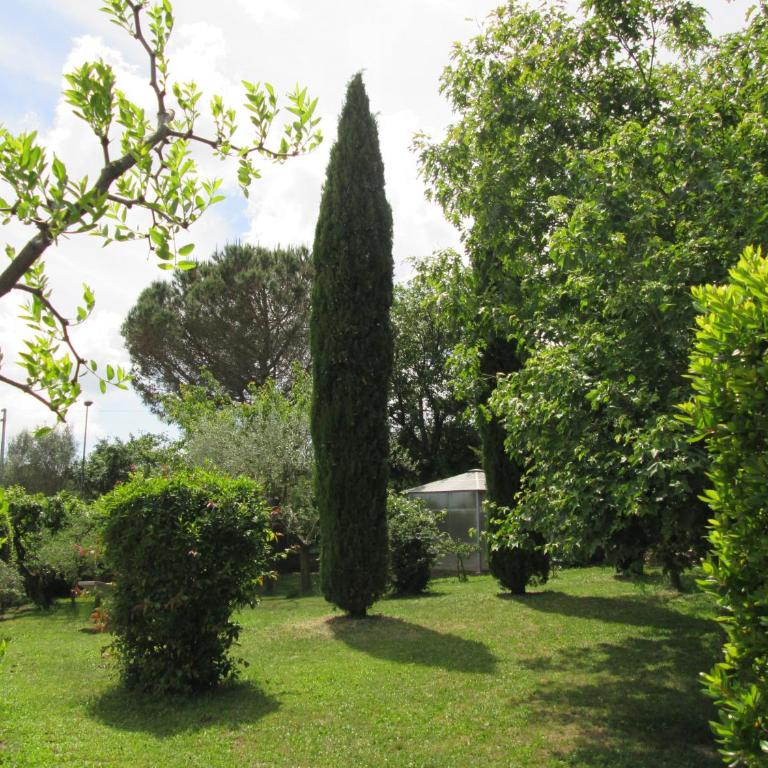 Alloggio Turistico La Balocca - Monolocale Familiare - 35