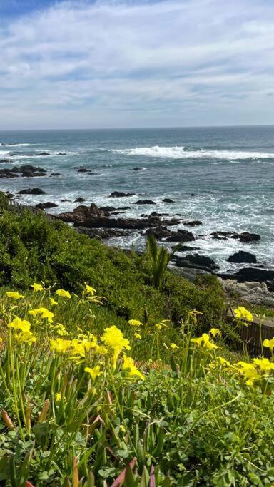 Cabaña Mar Pichilemu - Casa de 3 dormitorios - 37