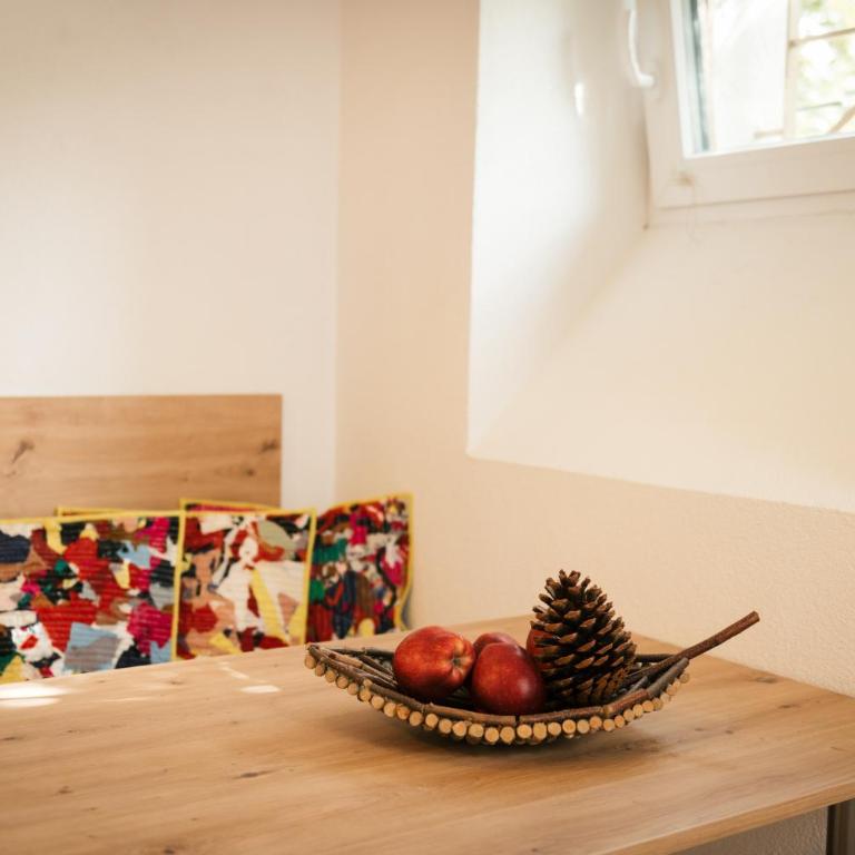 Villa Marwa - eine Ruheoase im Grünen - Studio - Untergeschoss - 9