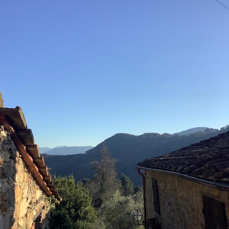 Casa rurale Colleccio - Oak Hills Modern Tuscany house in a Sustainable 1200s Hamlet - Treehouse terrace - Casa Vacanze - 36