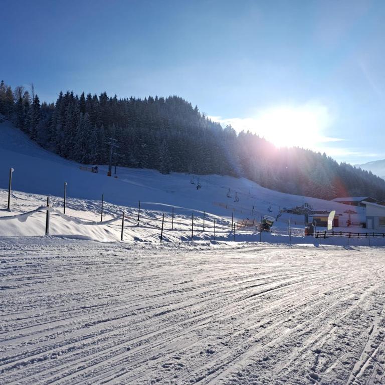 Ferienwohnung Alpenglück hoch3 - Appartement 1 Chambre - 28