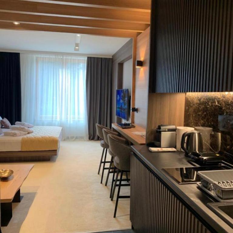 Woodside Residences Ski&Spa - Deluxe Studio - 4
