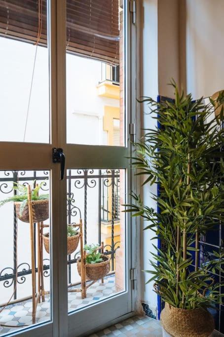 Andalusian flavour in heart of seville * 4´Giralda - Apartamento de 2 dormitorios - 27