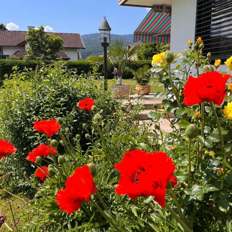 Haus Bergblick - Apartment mit 2 Schlafzimmern - 1