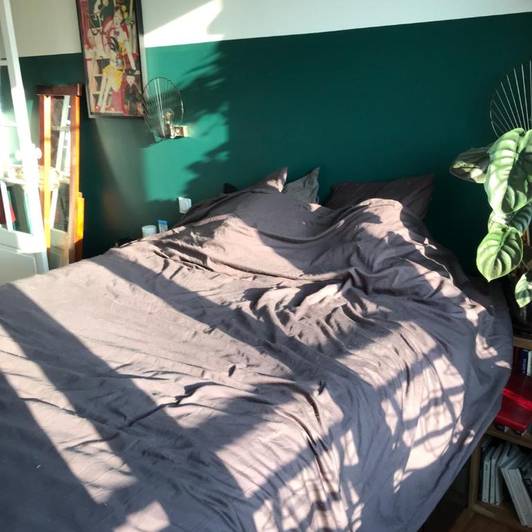 Le Nid D'Aigle - Appartement 1 Chambre - 29