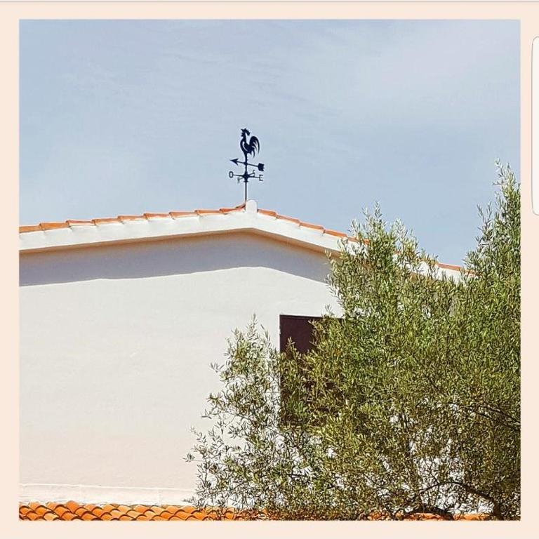 Villa La Rucchetta Alghero - Villa - 1