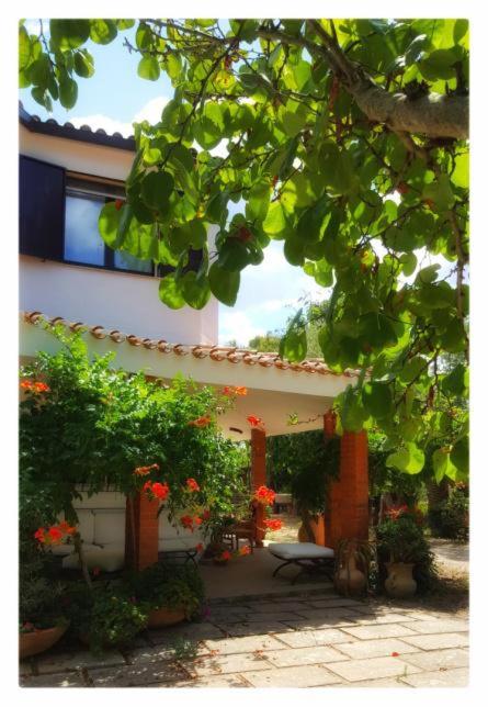 Villa La Rucchetta Alghero - Villa - 8