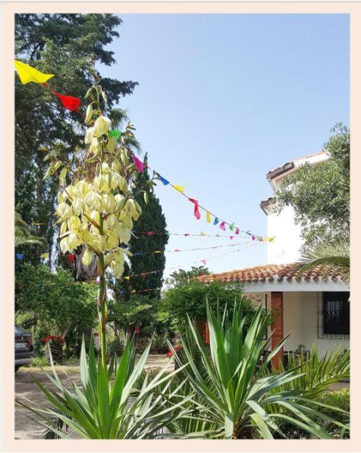 Villa La Rucchetta Alghero - Villa - 9