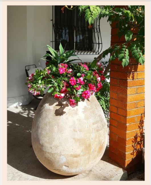 Villa La Rucchetta Alghero - Villa - 10