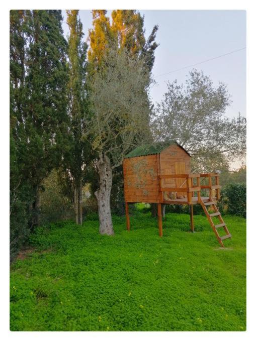 Villa La Rucchetta Alghero - Monolocale con Vista Piscina - 21