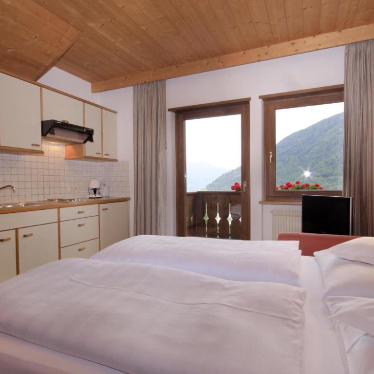 Apartments Gasserhof - Appartamento - 3