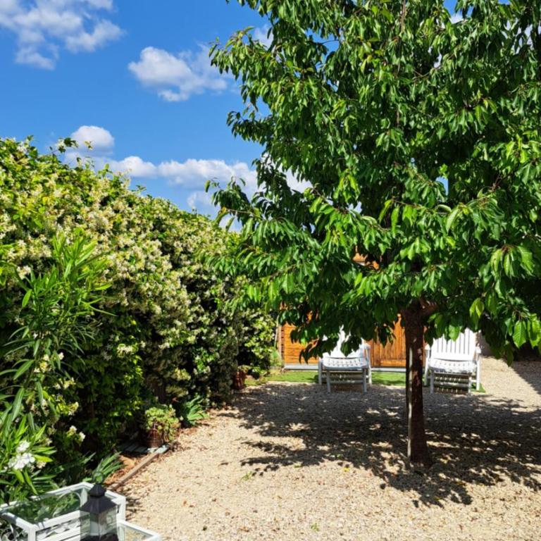 STUDIO tout équipé avec parking ISLE SUR LA SORGUE - Apartamento de 1 dormitorio - 8