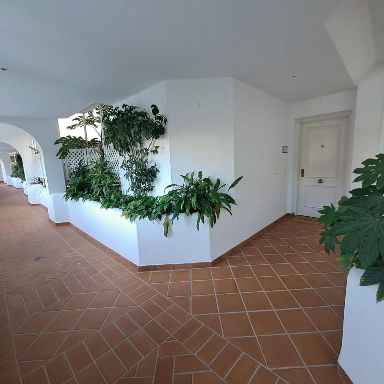 Holidays & Home Luminous Apartment in Playas del Duque , Puerto Banus - Apartamento de 3 dormitorios - 26