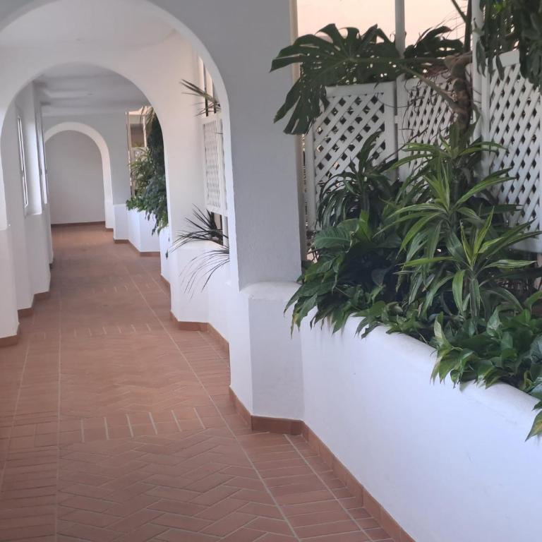 Holidays & Home Luminous Apartment in Playas del Duque , Puerto Banus - Apartamento de 3 dormitorios - 29