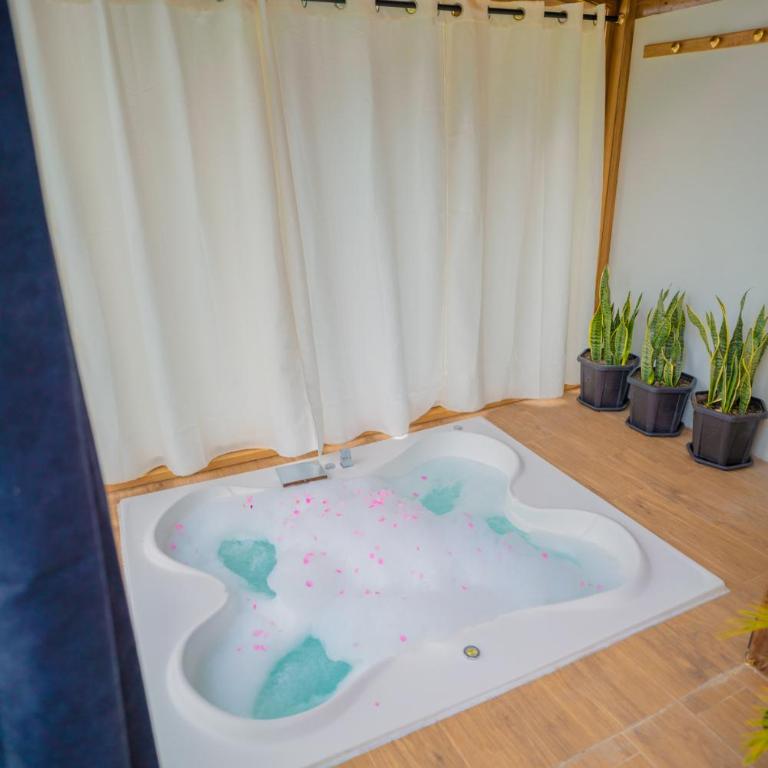 Andes Escape - Suites and Farm - Apartamento de 2 dormitorios - 11