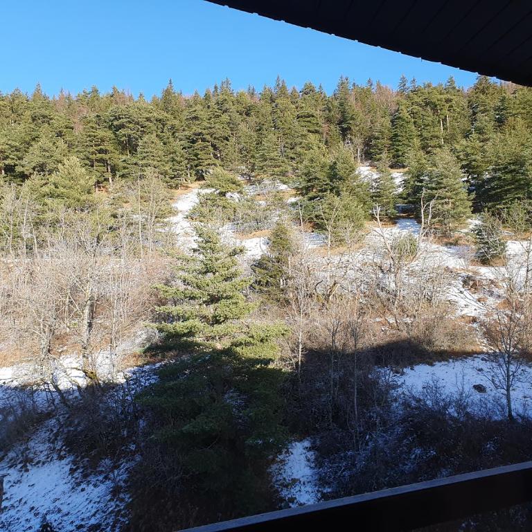 2 pièces 43m2 au Balcon de Villard Les Arolles - Appartement 1 Chambre - 2