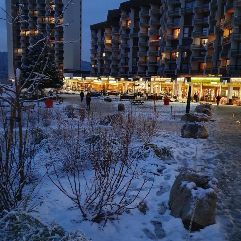 2 pièces 43m2 au Balcon de Villard Les Arolles - Appartement 1 Chambre - 6
