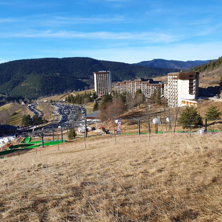 2 pièces 43m2 au Balcon de Villard Les Arolles - Appartement 1 Chambre - 4