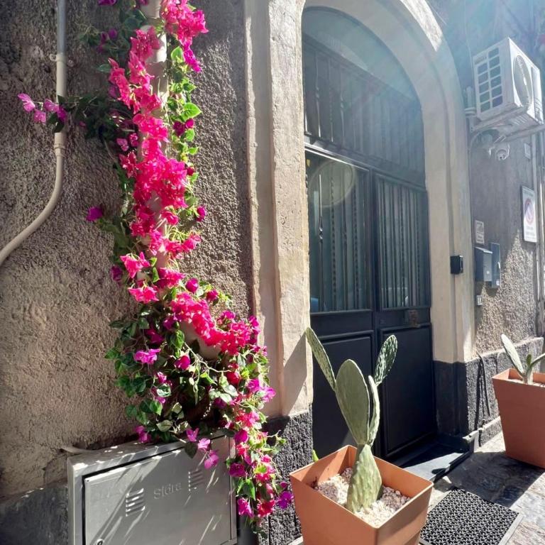 Ursino holiday apartment - One-Bedroom House - 22