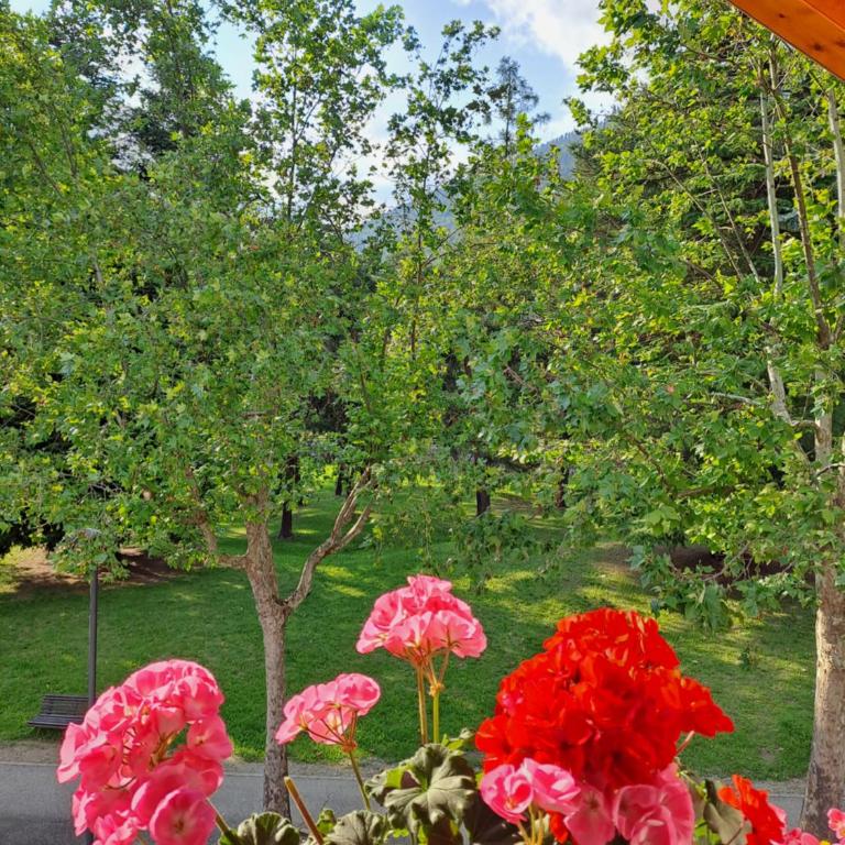 Casa Alby - Appartamento con 2 Camere da Letto - 25