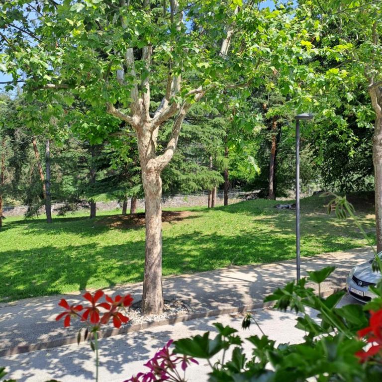 Casa Alby - Appartamento con 2 Camere da Letto - 28