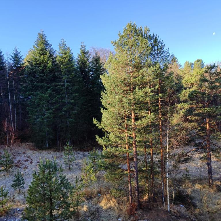 DIVNEST apartman - Apartman sa 1 Spavaćom Sobom - 29