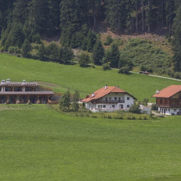 Chalet Wiesenglück - Chalet mit 1 Schlafzimmer - 21