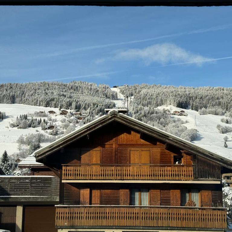 Au Petit Flocon - Appartement 3 pièces, central et proche pistes - parking privé et wifi - Apartment mit 2 Schlafzimmern - 2