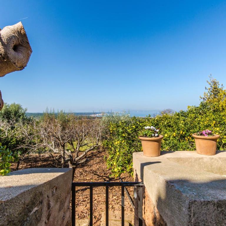 Finca Relax Can Mengol amazing seaview - Villa - 25