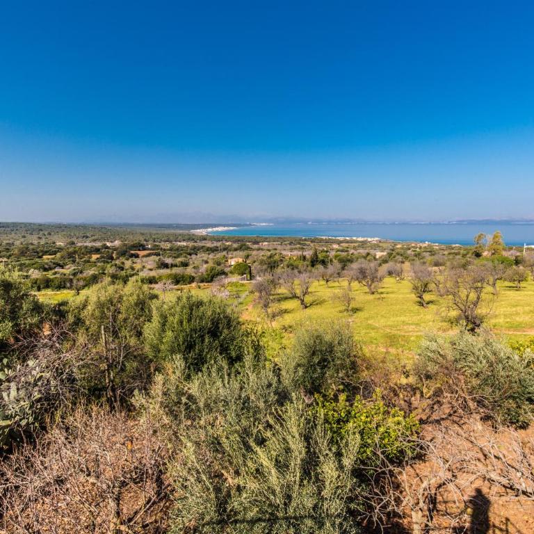 Finca Relax Can Mengol amazing seaview - Villa - 32