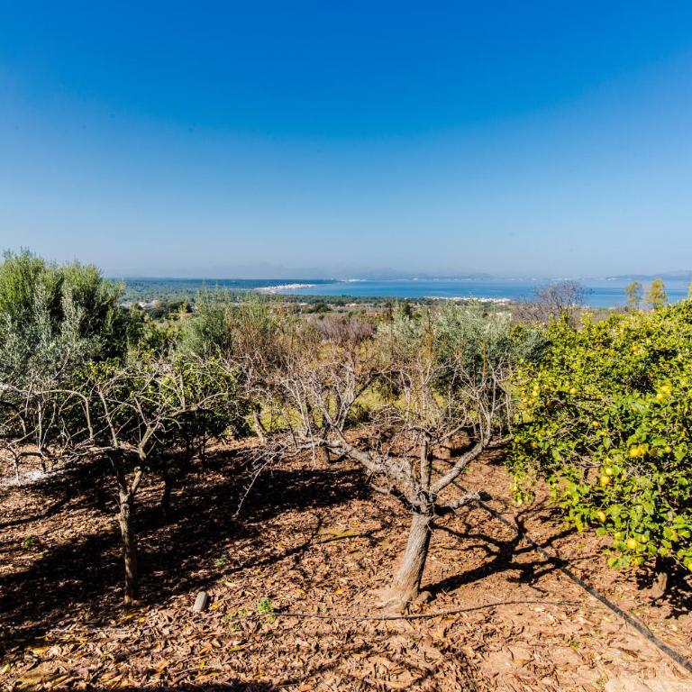 Finca Relax Can Mengol amazing seaview - Villa - 35