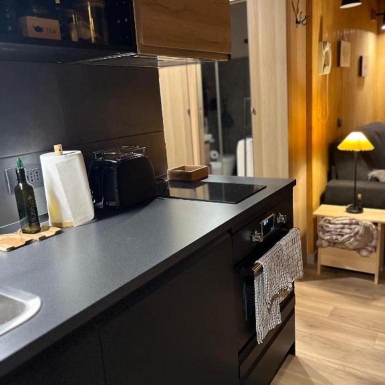Mansarda delle Dolomiti - Appartamento con 1 Camera da Letto - 14