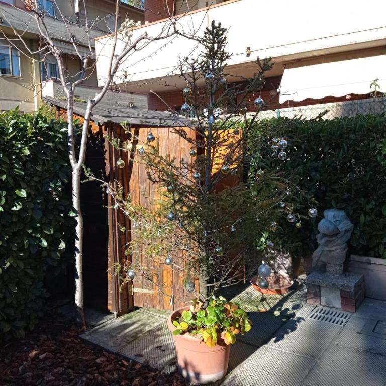 Villa Carmela - Centro Arezzo - Two-Bedroom House - 19
