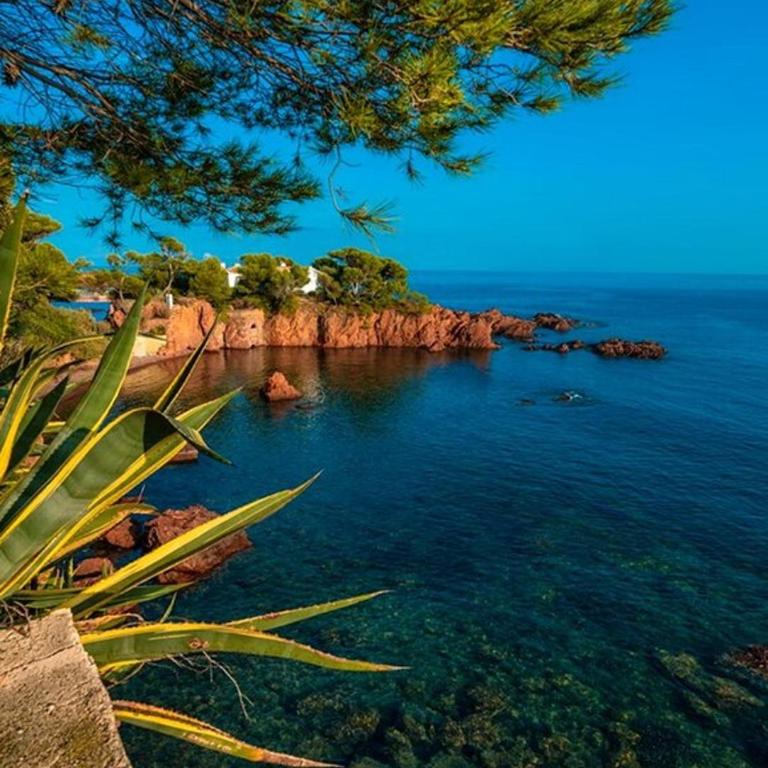Dans un cadre d'exception, Vue mer panoramique à Agay Côte d'Azur, Village Vacances Cap Esterel, 2 chambres, avec jardin, golf, climatisation, Wifi, 5 piscines - Appartement - Vue sur Mer - 72