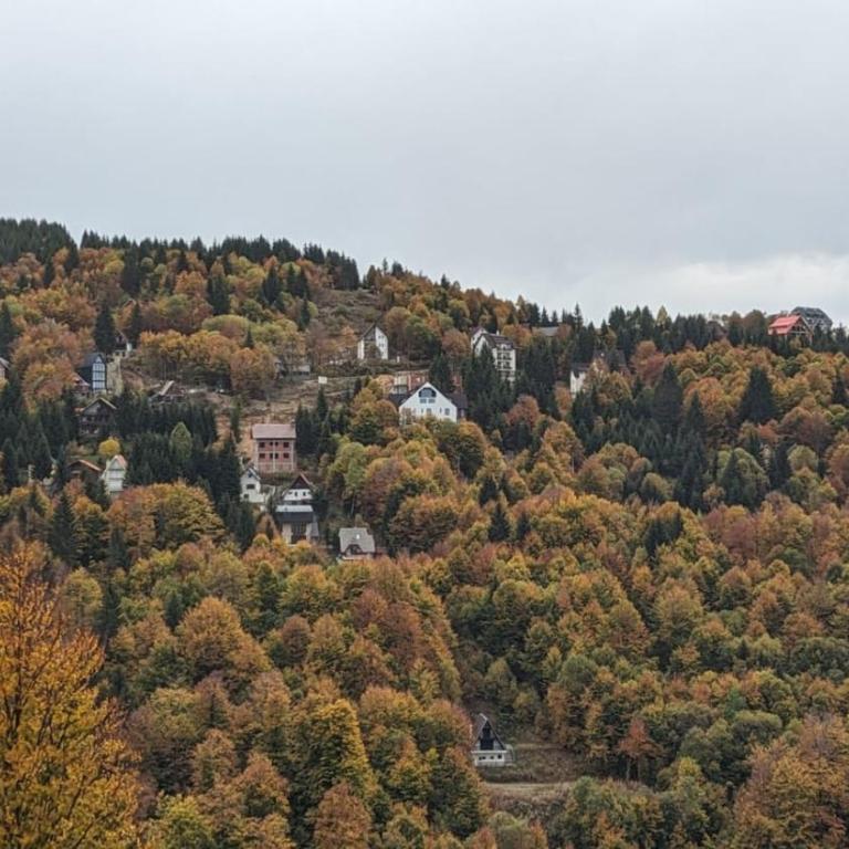 Studio Čuvarkuća - One-Bedroom Apartment - 44
