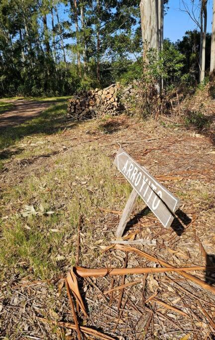 Experiencia única : Paz y naturaleza - Apartamento de 1 dormitorio - 13