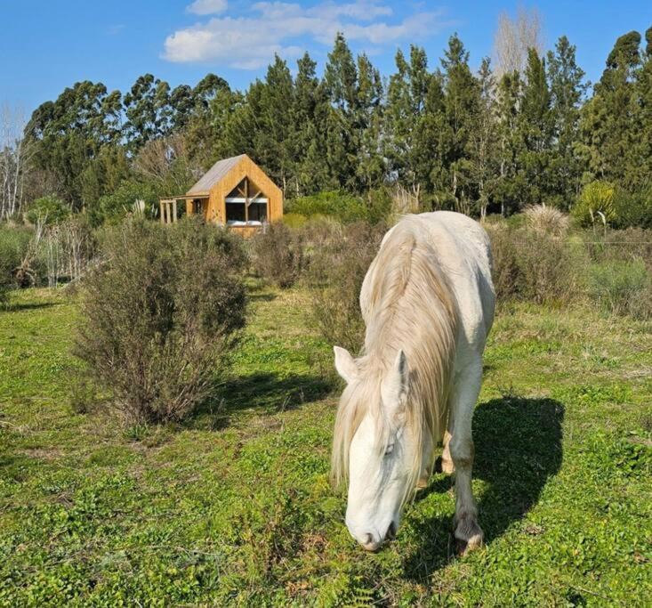 Experiencia única : Paz y naturaleza - Apartamento de 1 dormitorio - 15