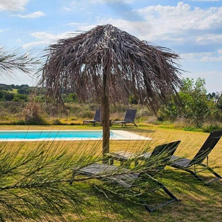 Experiencia única : Paz y naturaleza - Apartamento de 1 dormitorio - 17