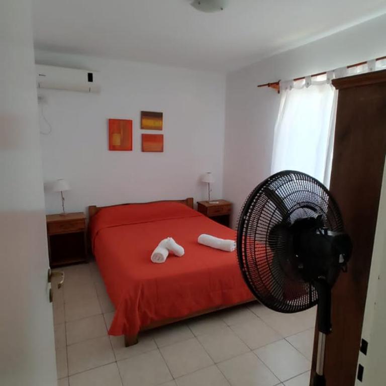 Seis departamentos - Apartamento de 1 dormitorio - 8