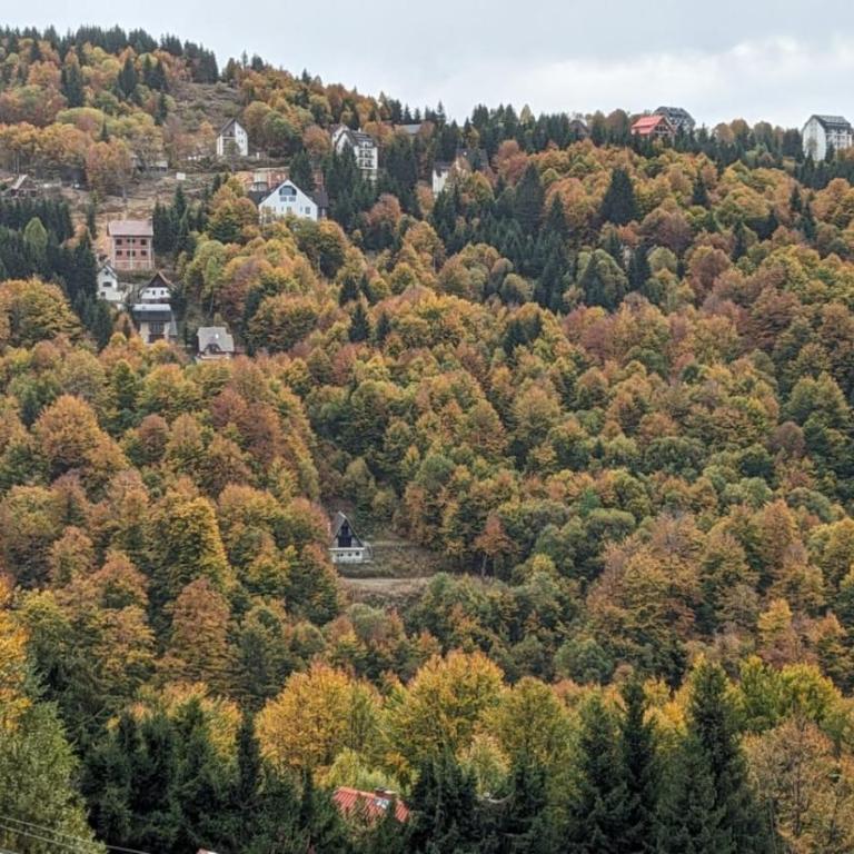 Kod Strica - Deluks Studio - 50