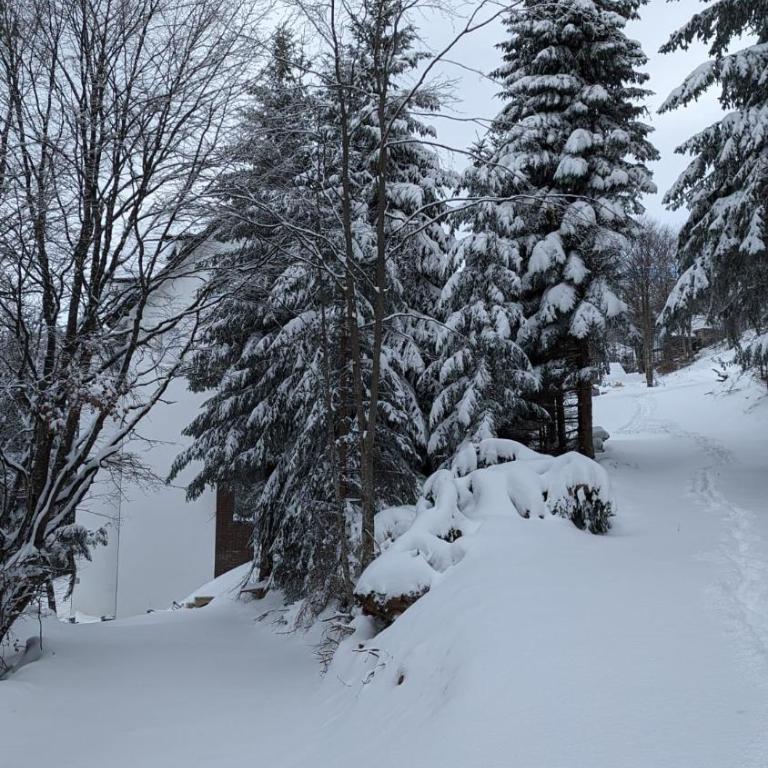 Kod Strica - Deluks Studio - 53