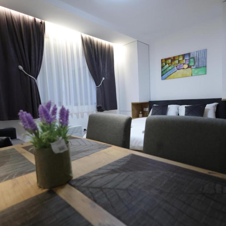 King apartments Kopaonik - Apartman sa 1 Spavaćom Sobom - 8