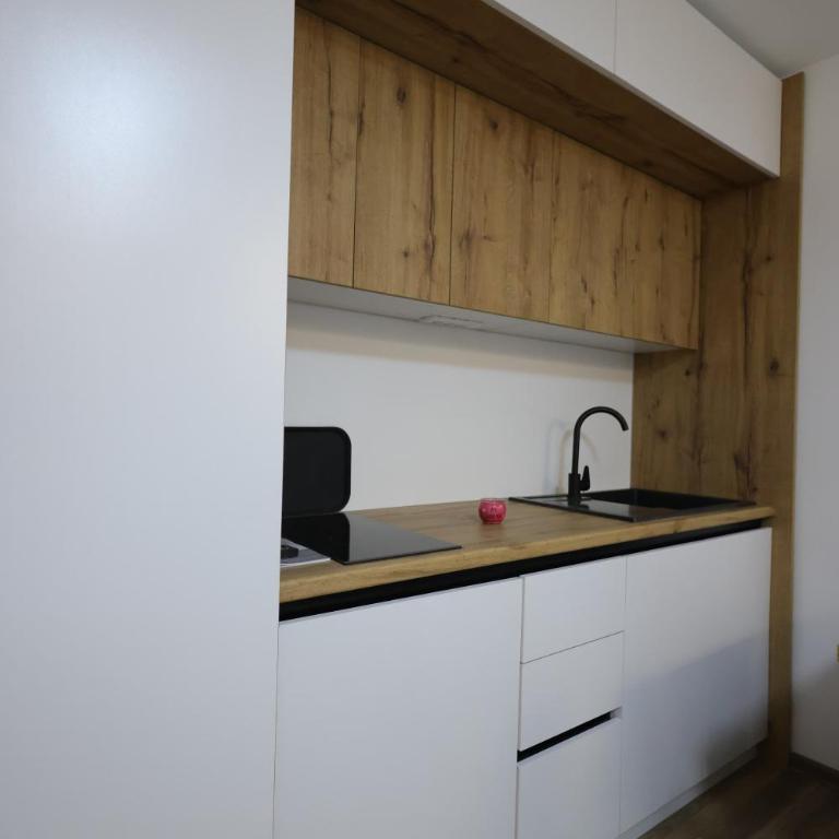 King apartments Kopaonik - Apartman sa 1 Spavaćom Sobom - 17