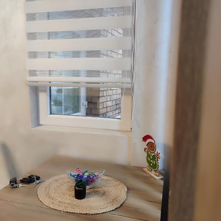 Studio apartman free parking RUBIKON - Porodični Studio - 3