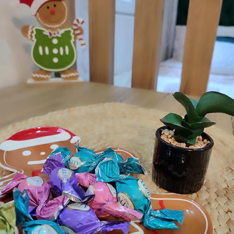 Studio apartman free parking RUBIKON - Porodični Studio - 6